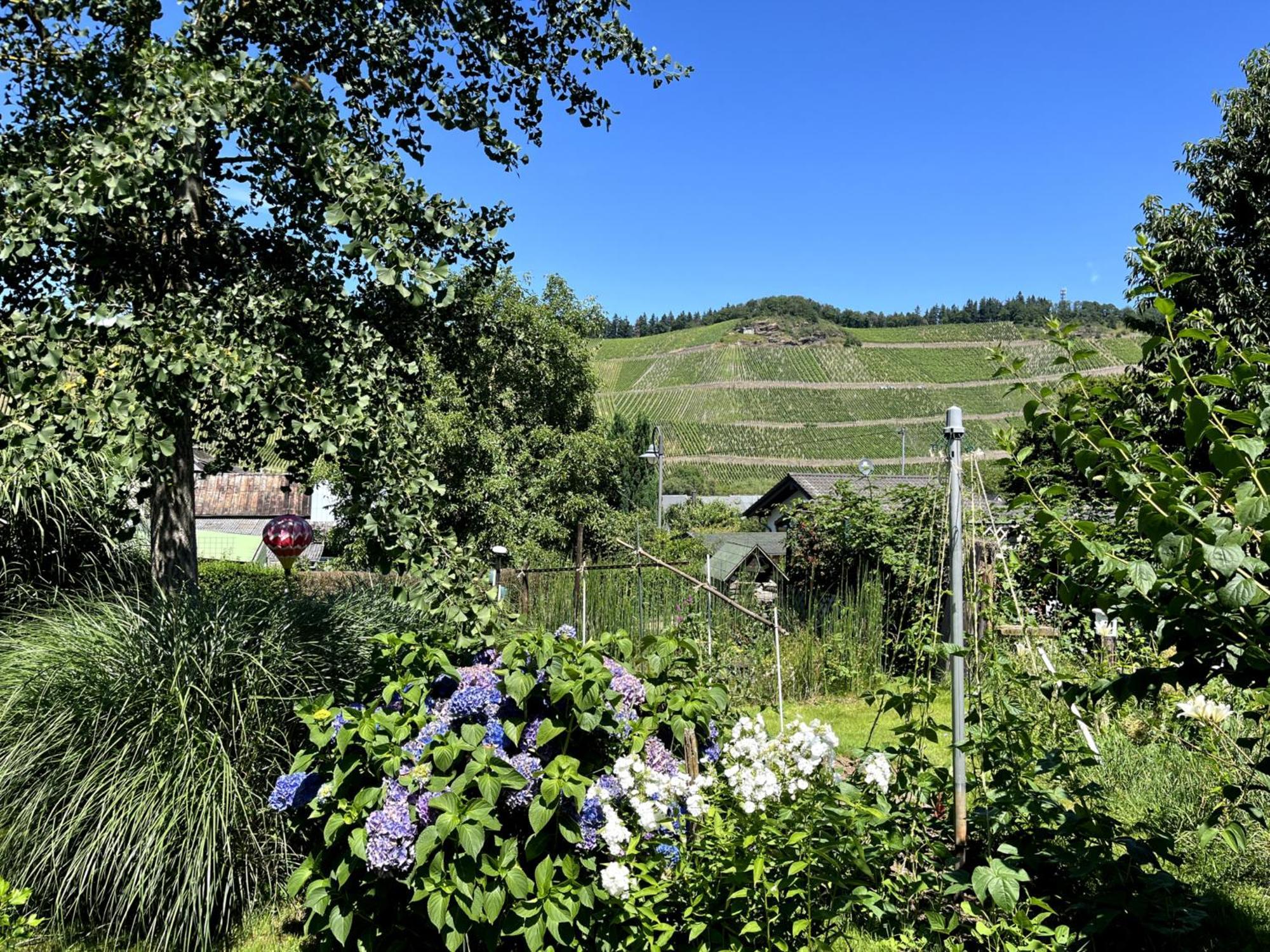 Landhaus Martina Brauneberg Exterior photo